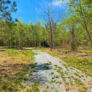 Photo #19 of Tyler Road, Crewe, VA 10.0 acres