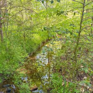 Photo #20 of Tyler Road, Crewe, VA 10.0 acres