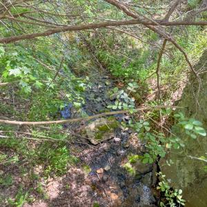 Photo #21 of Tyler Road, Crewe, VA 10.0 acres