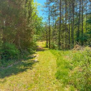 Photo #23 of Tyler Road, Crewe, VA 10.0 acres