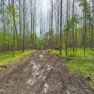 Photo #24 of Tyler Road, Crewe, VA 10.0 acres