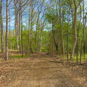 Photo #25 of Tyler Road, Crewe, VA 10.0 acres