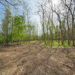 Photo #26 of Tyler Road, Crewe, VA 10.0 acres