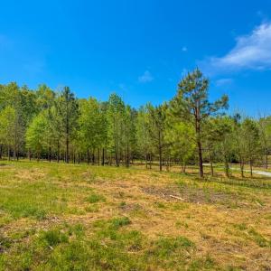 Photo #3 of Tyler Road, Crewe, VA 10.0 acres