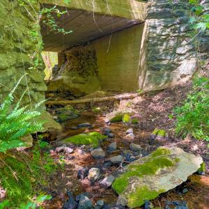 Photo #4 of Tyler Road, Crewe, VA 10.0 acres