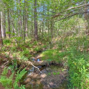 Photo #5 of Tyler Road, Crewe, VA 10.0 acres