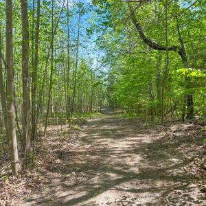 Photo #6 of Tyler Road, Crewe, VA 10.0 acres