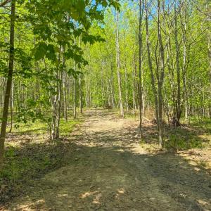 Photo #7 of Tyler Road, Crewe, VA 10.0 acres