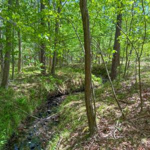 Photo #9 of Tyler Road, Crewe, VA 10.0 acres