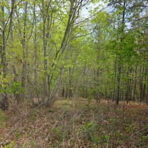 Photo #10 of Gardner Farm Road, Appomattox, VA 5.8 acres