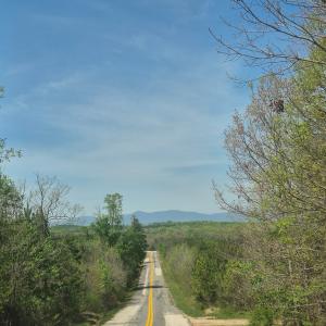 Photo #6 of Greenfield Drive, Gladstone, VA 60.3 acres