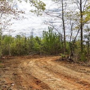 Photo #10 of Cutbanks Road, Pamplin, VA 75.0 acres