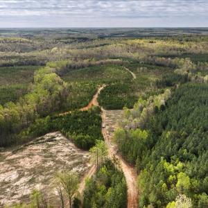 Photo #13 of Cutbanks Road, Pamplin, VA 75.0 acres