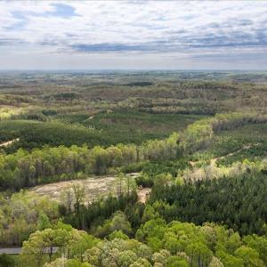 Photo #14 of Cutbanks Road, Pamplin, VA 75.0 acres