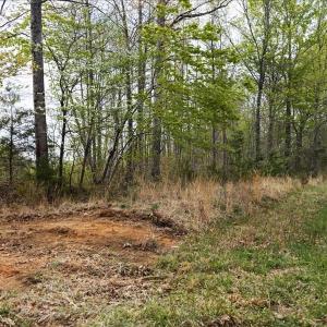 Photo #15 of Cutbanks Road, Pamplin, VA 75.0 acres