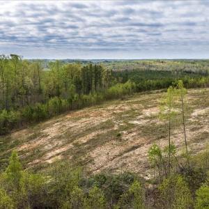 Photo #16 of Cutbanks Road, Pamplin, VA 75.0 acres