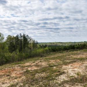 Photo #18 of Cutbanks Road, Pamplin, VA 75.0 acres