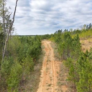 Photo #20 of Cutbanks Road, Pamplin, VA 75.0 acres