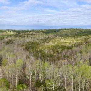Photo #22 of Cutbanks Road, Pamplin, VA 75.0 acres