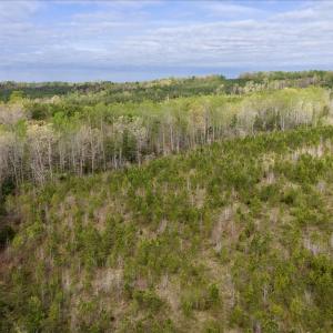 Photo #23 of Cutbanks Road, Pamplin, VA 75.0 acres