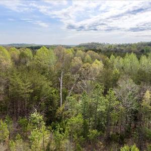 Photo #24 of Cutbanks Road, Pamplin, VA 75.0 acres