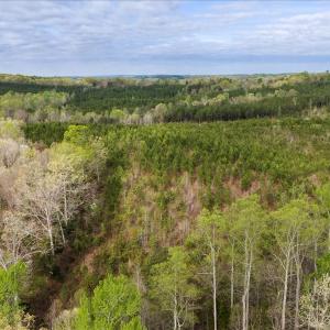 Photo #25 of Cutbanks Road, Pamplin, VA 75.0 acres