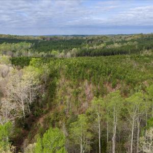 Photo #26 of Cutbanks Road, Pamplin, VA 75.0 acres