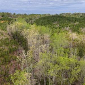 Photo #27 of Cutbanks Road, Pamplin, VA 75.0 acres