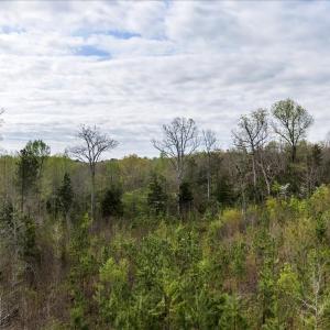 Photo #28 of Cutbanks Road, Pamplin, VA 75.0 acres