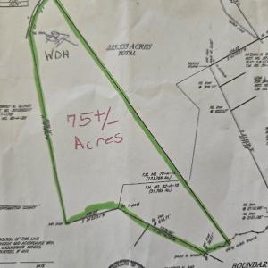 Photo #3 of Cutbanks Road, Pamplin, VA 75.0 acres