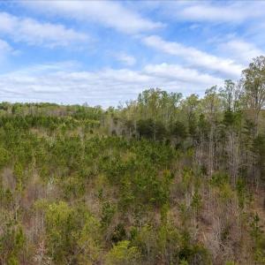 Photo #30 of Cutbanks Road, Pamplin, VA 75.0 acres