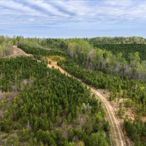 Photo #31 of Cutbanks Road, Pamplin, VA 75.0 acres