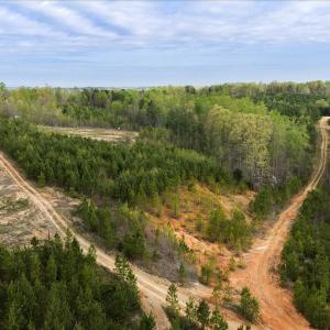 Photo #32 of Cutbanks Road, Pamplin, VA 75.0 acres