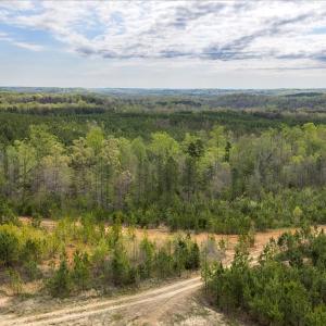 Photo #33 of Cutbanks Road, Pamplin, VA 75.0 acres