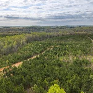 Photo #34 of Cutbanks Road, Pamplin, VA 75.0 acres