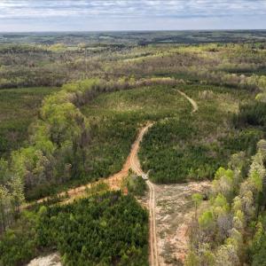 Photo #35 of Cutbanks Road, Pamplin, VA 75.0 acres