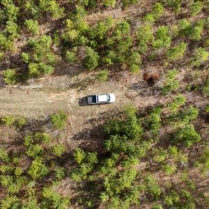 Photo #37 of Cutbanks Road, Pamplin, VA 75.0 acres