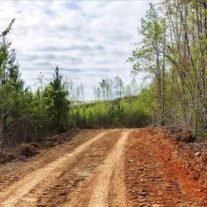 Photo #4 of Cutbanks Road, Pamplin, VA 75.0 acres