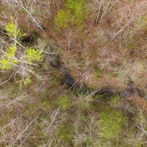 Photo #40 of Cutbanks Road, Pamplin, VA 75.0 acres