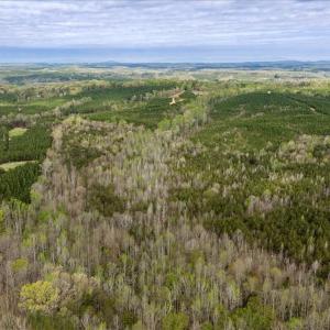 Photo #41 of Cutbanks Road, Pamplin, VA 75.0 acres