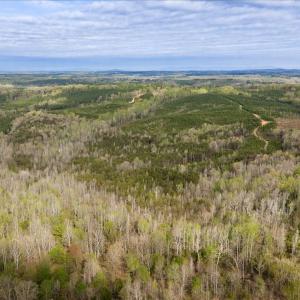 Photo #42 of Cutbanks Road, Pamplin, VA 75.0 acres