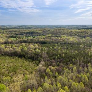 Photo #43 of Cutbanks Road, Pamplin, VA 75.0 acres