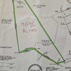 Photo #44 of Cutbanks Road, Pamplin, VA 75.0 acres