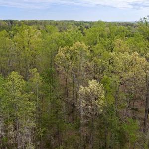 Photo #5 of Cutbanks Road, Pamplin, VA 75.0 acres
