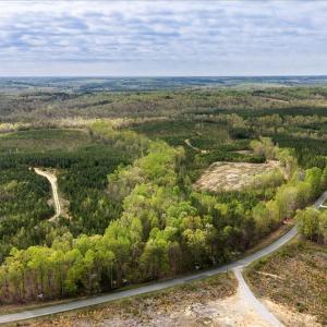 Photo #6 of Cutbanks Road, Pamplin, VA 75.0 acres