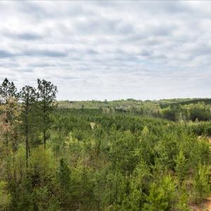 Photo #7 of Cutbanks Road, Pamplin, VA 75.0 acres