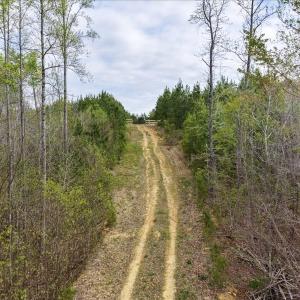 Photo #8 of Cutbanks Road, Pamplin, VA 75.0 acres