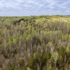 Photo #9 of Cutbanks Road, Pamplin, VA 75.0 acres