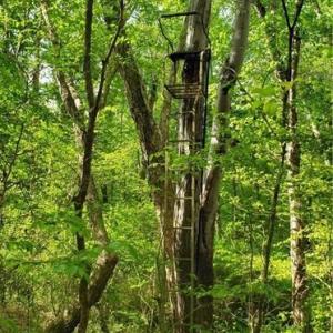 Photo #12 of Winningham Rd, Crewe, VA 75.5 acres