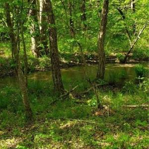 Photo #13 of Winningham Rd, Crewe, VA 75.5 acres